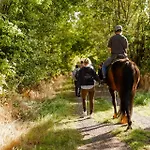Alte Schule 5 * Staberdorf