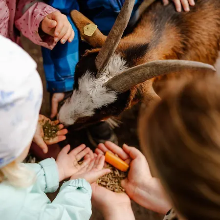 Ferienhaus Alte Schule 5 Staberdorf