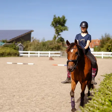 Semesterbostad Alte Schule 5 *