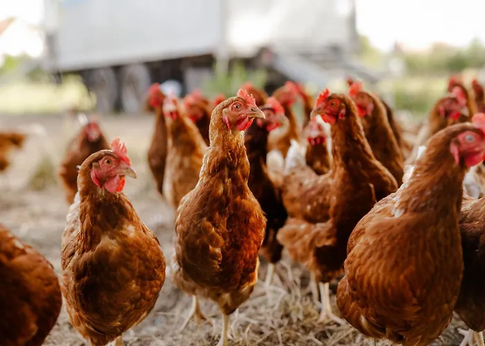 Alte Schule 5 Дом отдыха Staberdorf